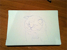 Crayonn� du chaton