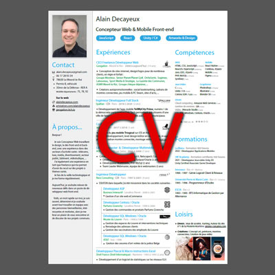 Curriculum Vitae résumé et condensé en 1 page