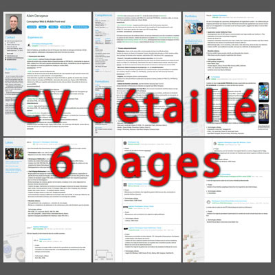 Curriculum Vitae détaillé sur 6 pages